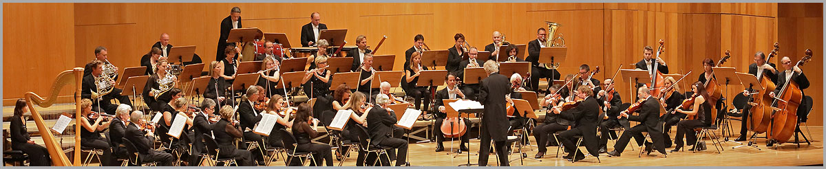 Heilbronner Sinfonie Orchester - Bild Kontakt