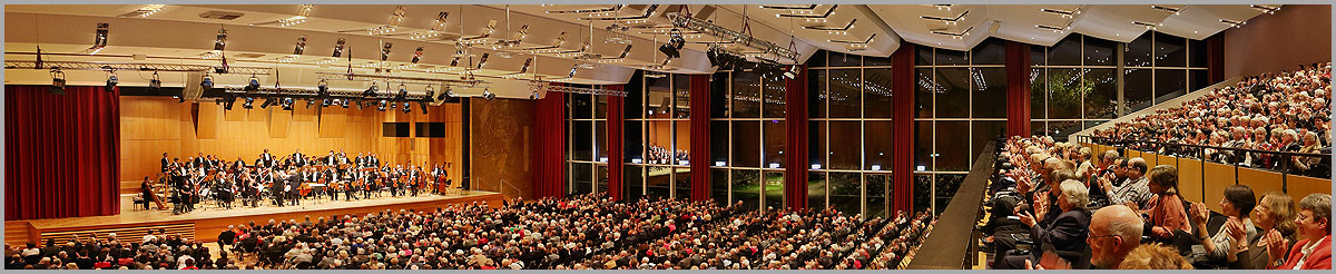 Heilbronner Sinfonie Orchester - Bild Preise