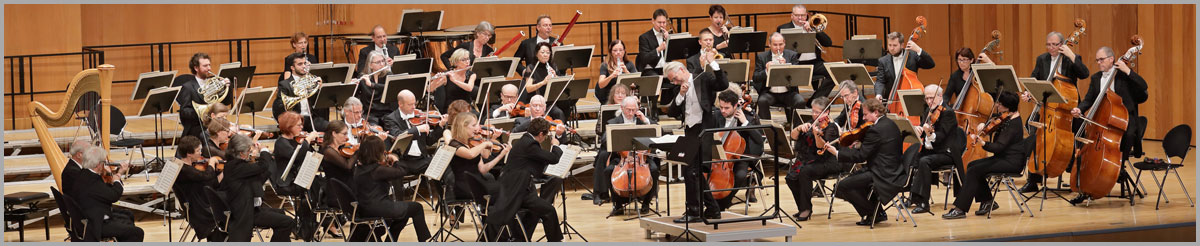 Heilbronner Sinfonie Orchester - Startseite