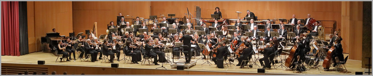 Heilbronner Sinfonie Orchester - Konzertreihe
