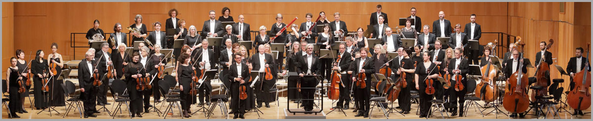 Heilbronner Sinfonie Orchester - Orchester